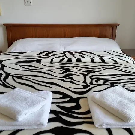 بيليديس * لارنكا