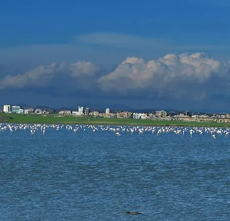 Pelides Ларнака